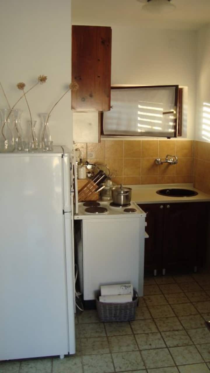 Terrace Apartment Plav- Sea View - Krk