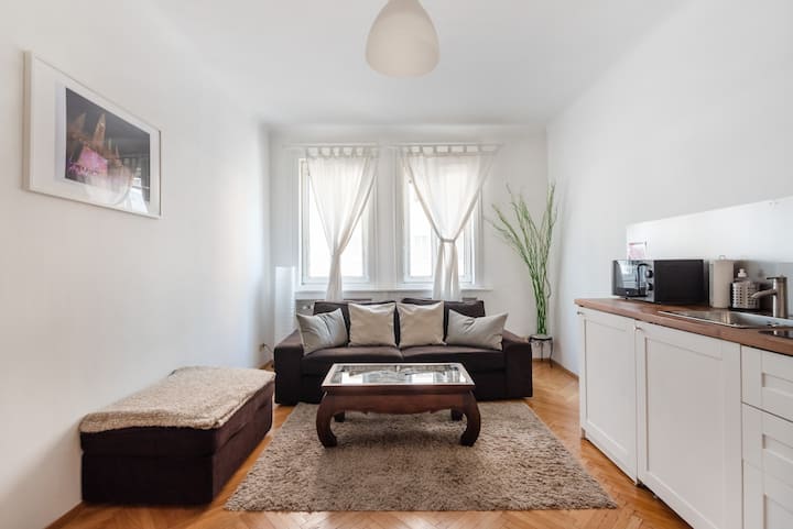 City Center Vienna´s Nightlife Apartment - Vienna