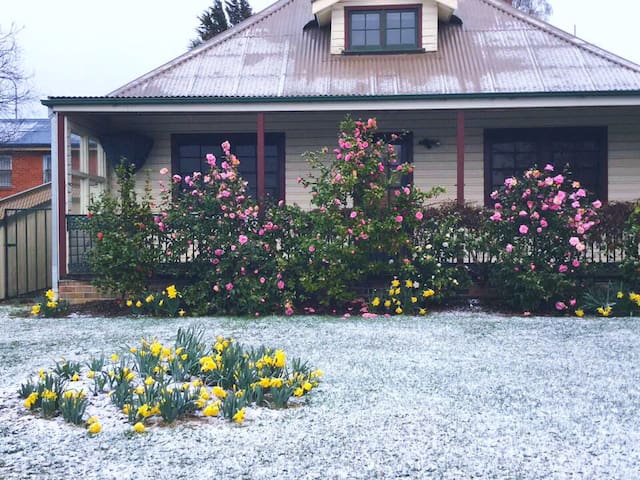Welcome to Oberon!