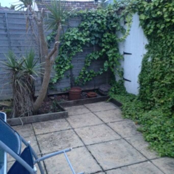 Own palm tree in garden