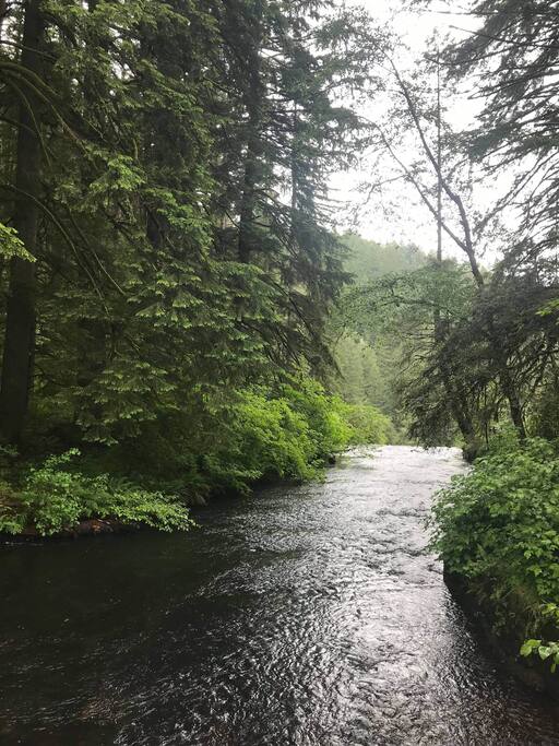 Nearby 38 only minute drive, is beautiful Silver Falls State Park boasting over 9000 acres to enjoy. Once you arrive to Silver Falls, you will be pleased to learn that the river is only a few steps away from your parked car. No need to hike miles to enjoy waterfalls, the Park has trails for the meek or avid hikers, horseback-riders or, backpacking, and camping as well.