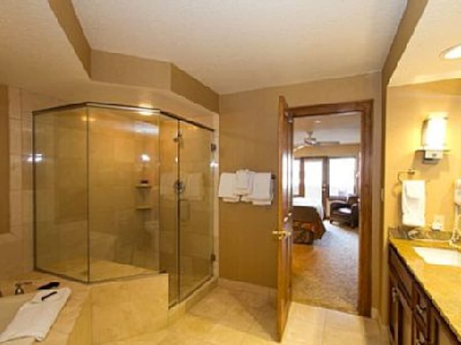 Master Bathroom with shower and tub