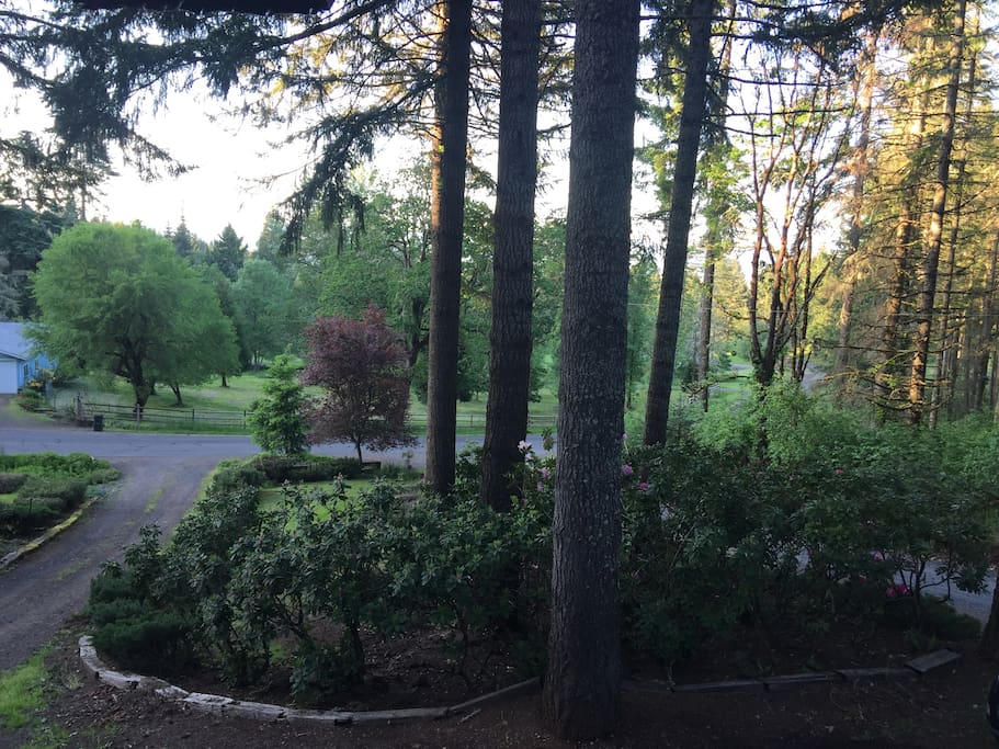 Beautiful view from front deck