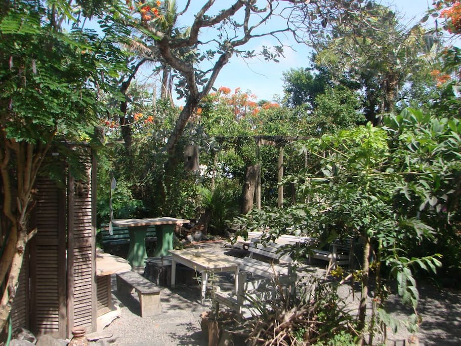 jardim