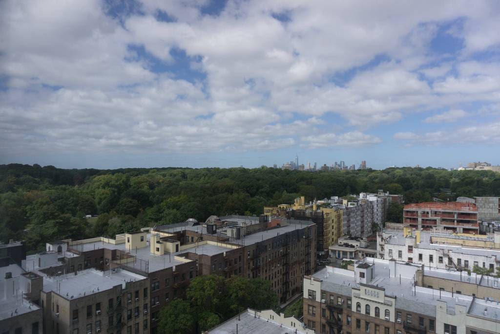 This is the actual view from the windows.