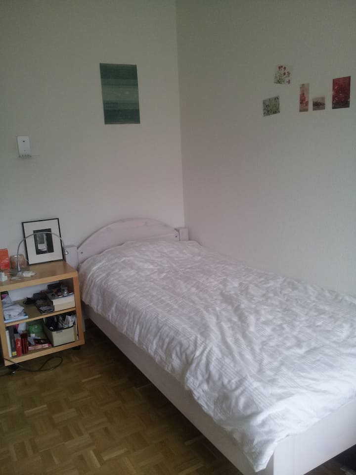 Cosy Room With Nice View - Bâle