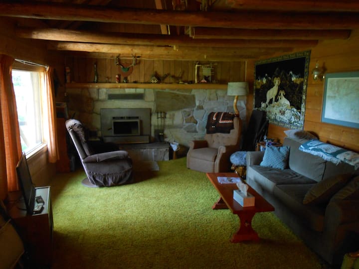 Near Yellowstone Park! Rustic Cabin-sleeps 12 - アイランド・パーク, ID
