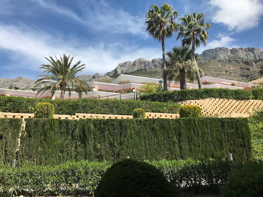 Zonas comunes. Jardín