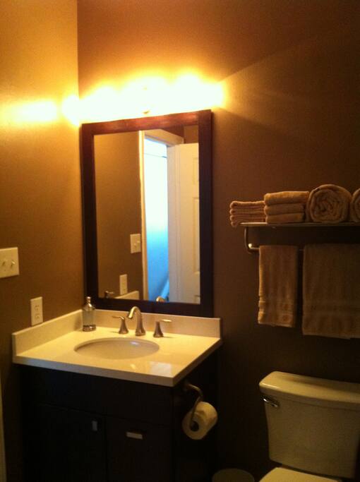 Guest bath vanity