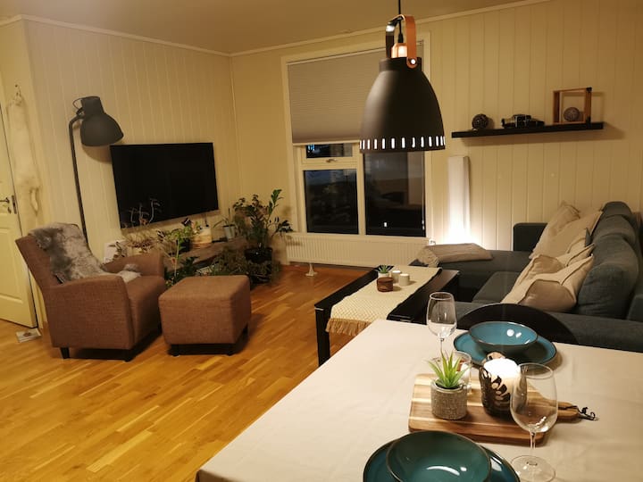 Central & Cozy apartment in downtown Longyearbyen