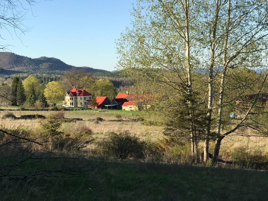 Over 20 acres for you to roam