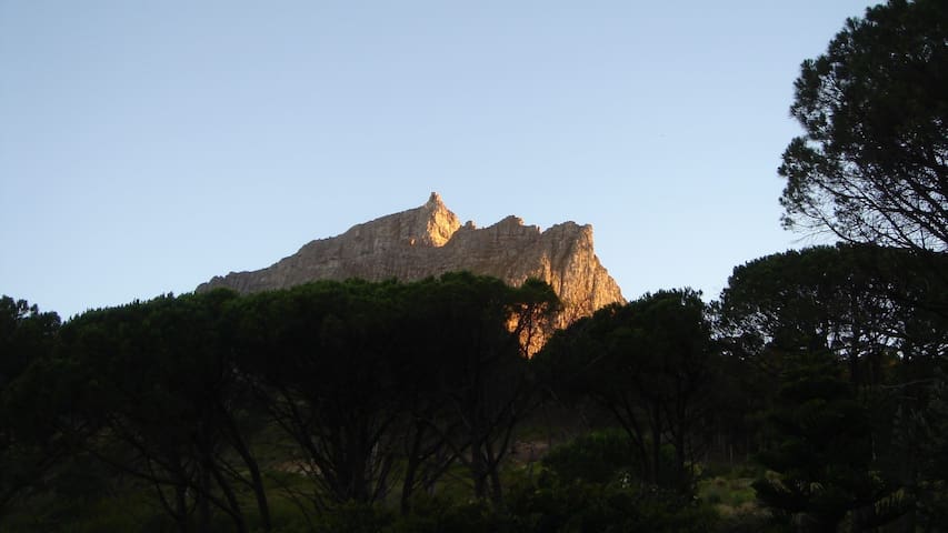Haven nestled under Table Mountain