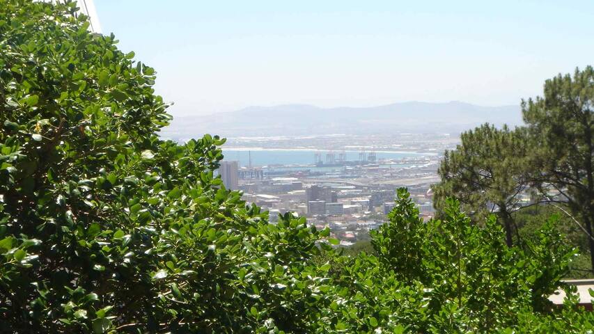 Haven nestled under Table Mountain gallery image 3