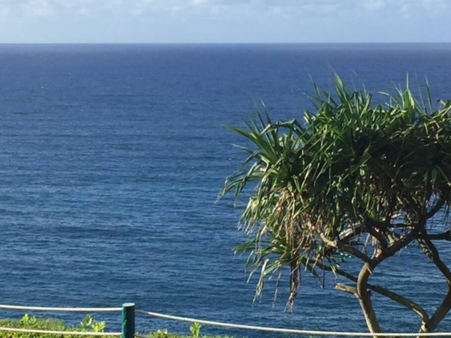 View from the bluff below our condo.