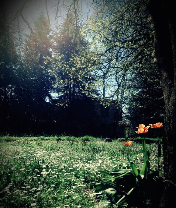 Un po' di giardino