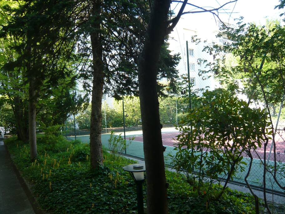 le tennis