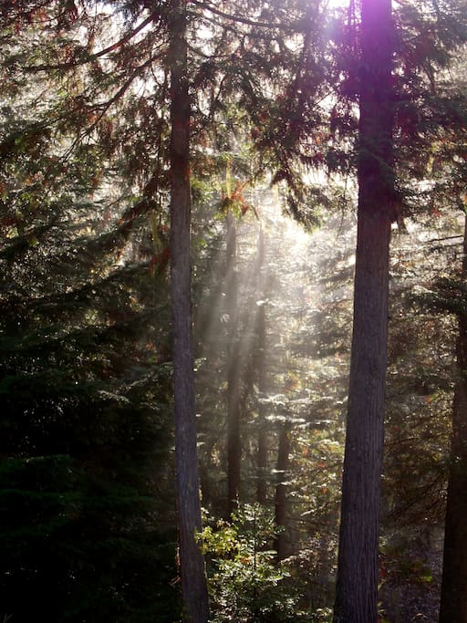 Mystical.. can you feel it?