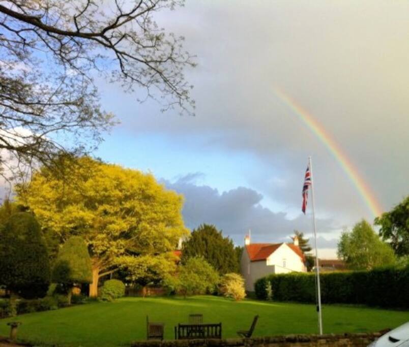 View of the front garden