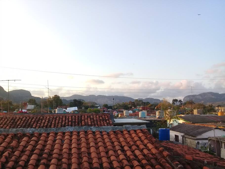 Terraza