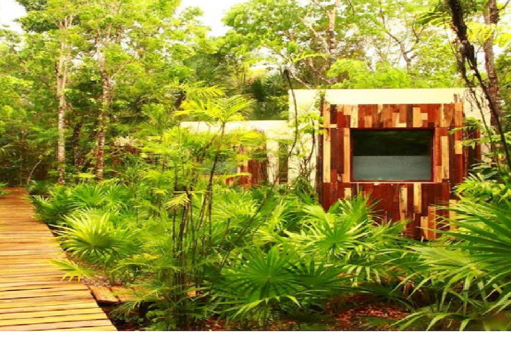 Selva