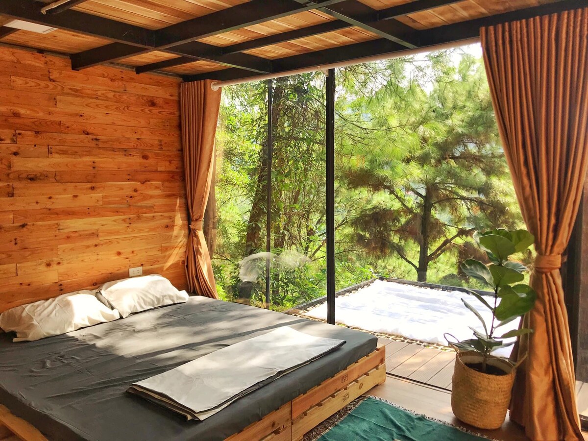 A spacious bedroom features a large bed against a wooden wall, with soft linens and large windows that bring in natural light. An outdoor area is visible through the glass, surrounded by greenery, accompanied by a potted plant placed near the window.