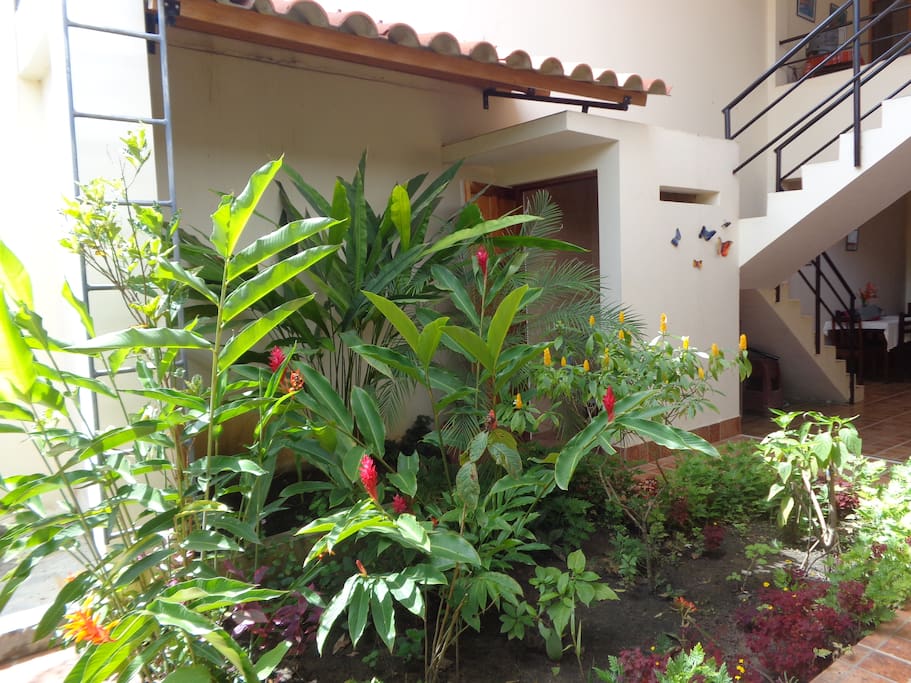 Jardín / baño