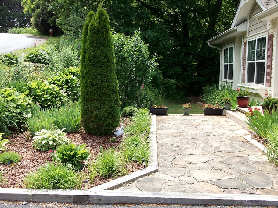 Enjoy the front garden
