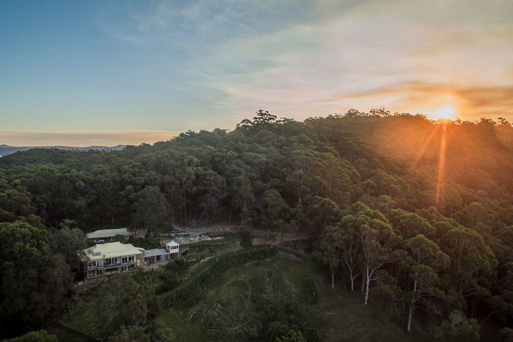 Aerial shot of Kodama Retreat with 'The Hideaway' studio sitting just behind