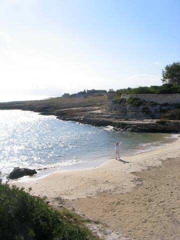 Amazing Beach Villa Directly on the Adriatic Sea gallery image 3