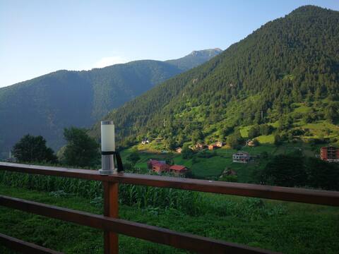 YOUR CHOICE FOR A CALM, PEACEFUL AND HOMELY HOLIDAY