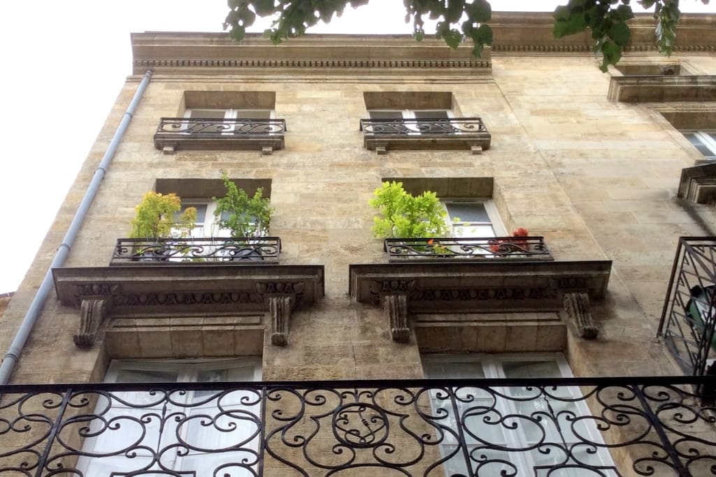Bordeaux Grand Bell apartment is the one with the plants