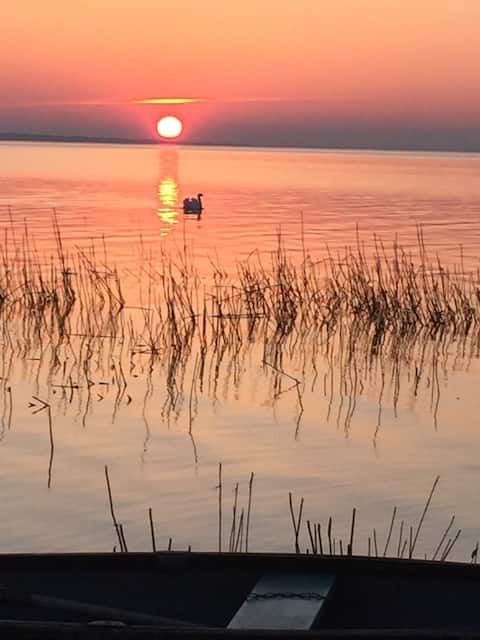 Lakefront Ultimate Family Paradise