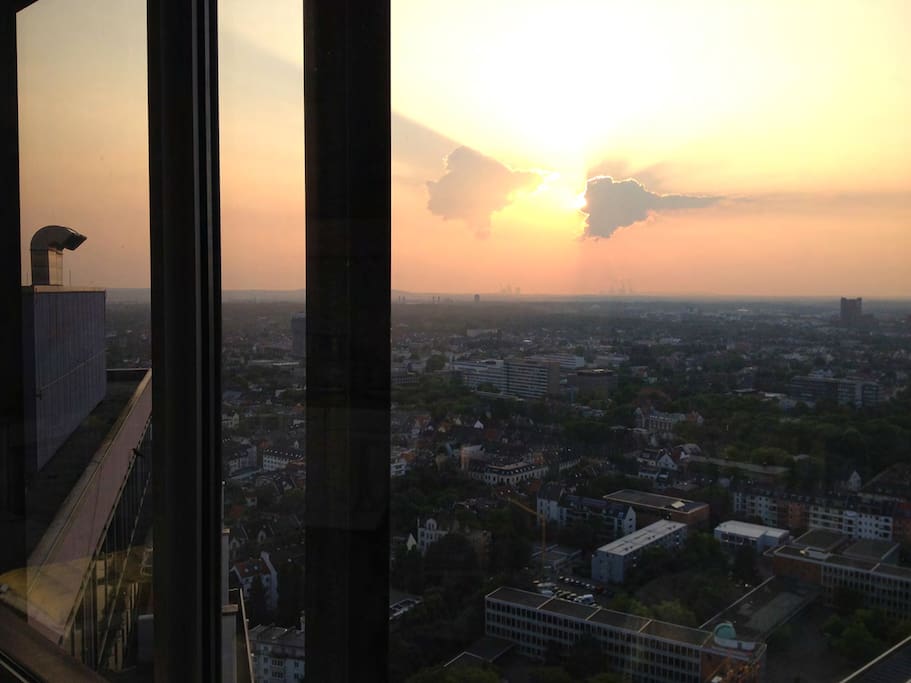 view