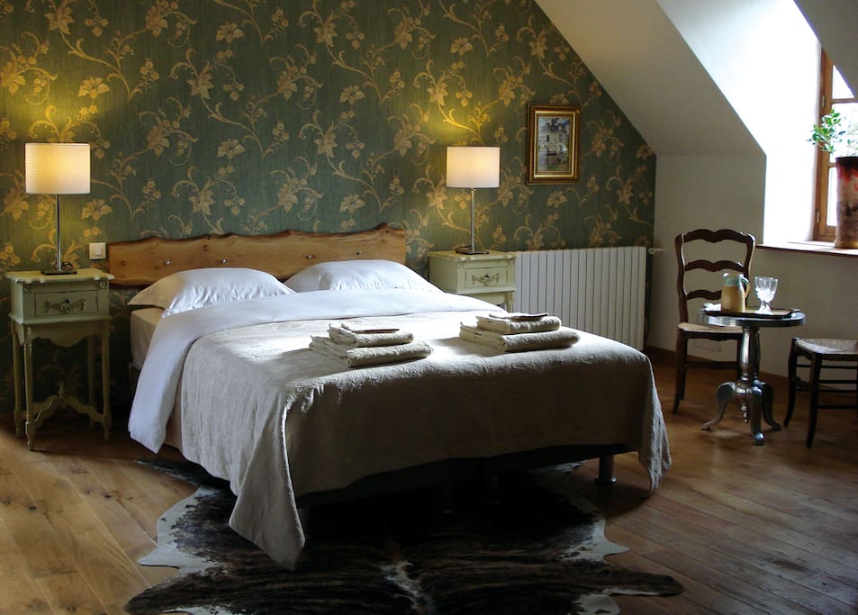 Chambre spacieuse avec salle de bain et toilette privé dans la chambre, vue sur le parc.