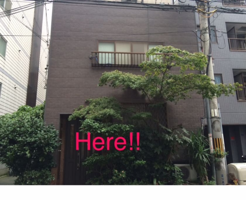 我が家です!目印は玄関前に大きな木が生えていますよ!