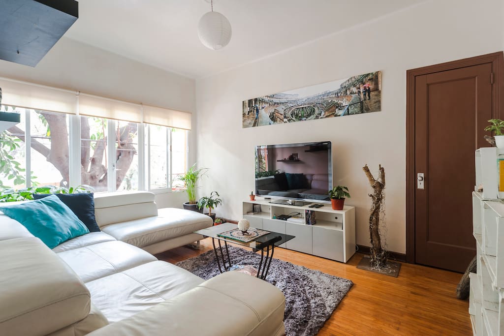 Trendy and cozy apartment at Condesa´s heart Apartments for Rent in