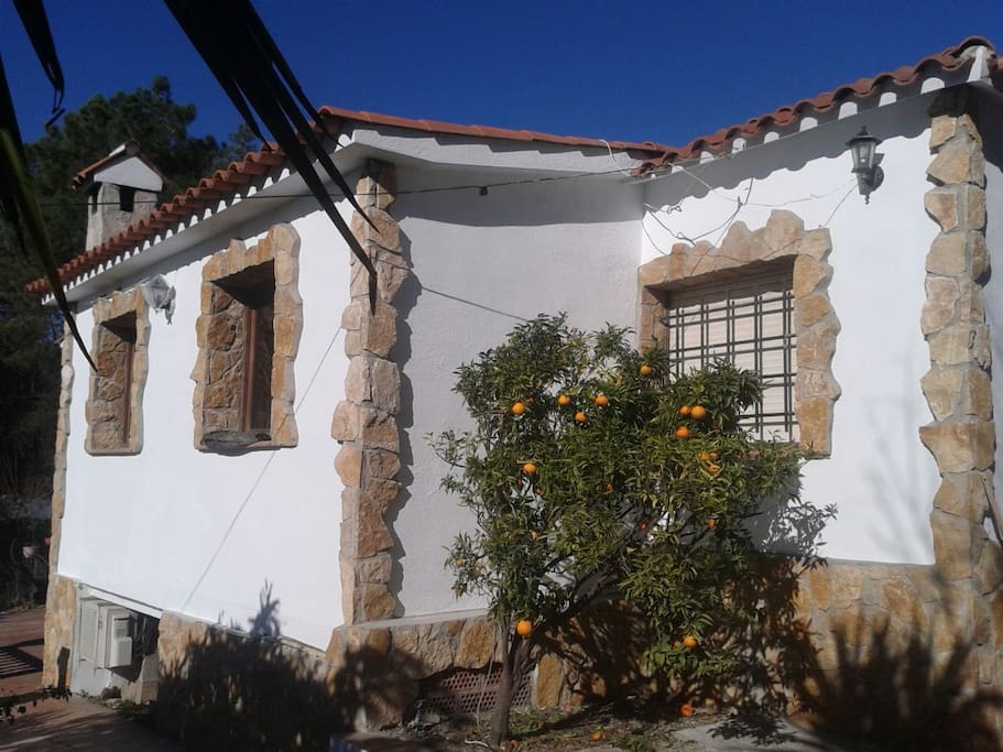 Vista del Mandarin