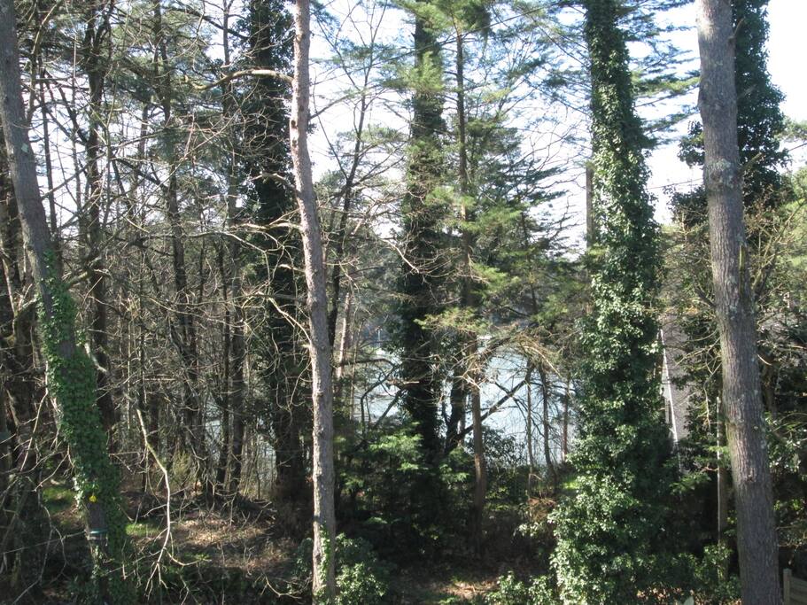 vue sur la rivière d'Auray de la chambre 2