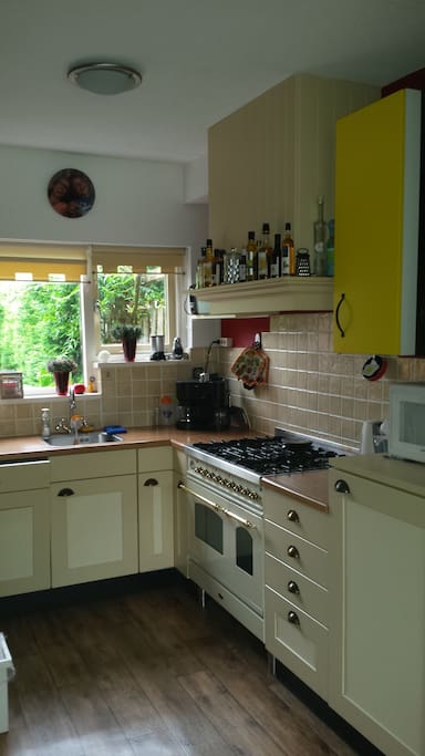 the open kitchen