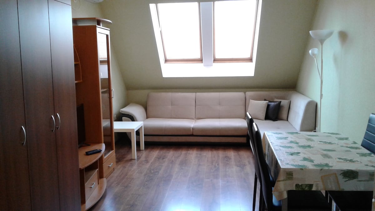 A well-lit living space is showcased with slanted skylights above. A spacious, light-colored sofa occupies one side, accompanied by a small white table. A dark wooden cabinet and an entertainment unit are present. A dining table with simple chairs is set against the wall, enhancing functionality.