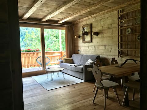 Top performing Airbnb: Apartment Ostwind con sauna privata (Grieshof am Pühel) in Gsies