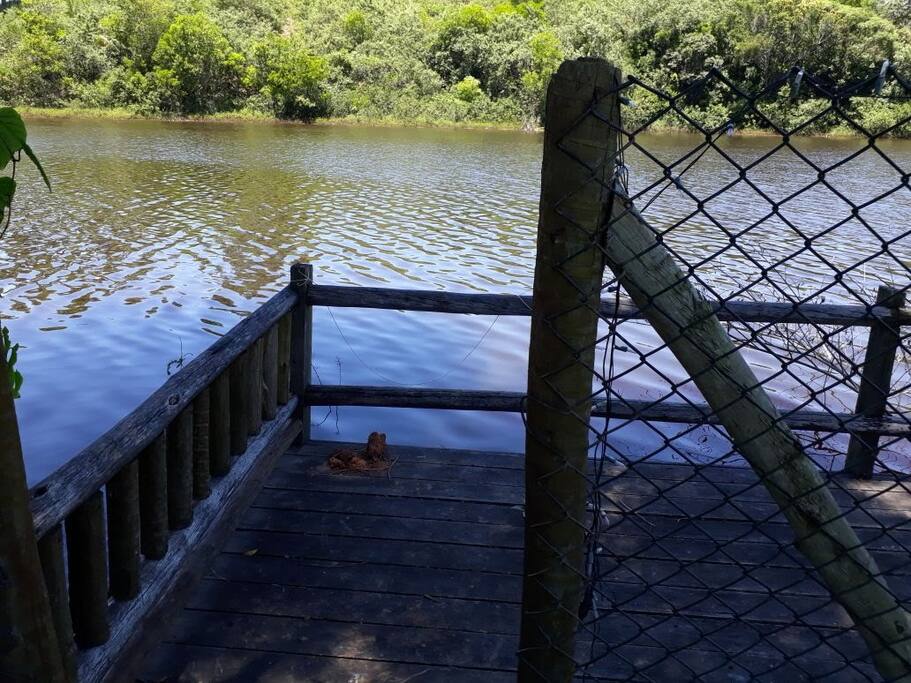 Vista do deck no quintal