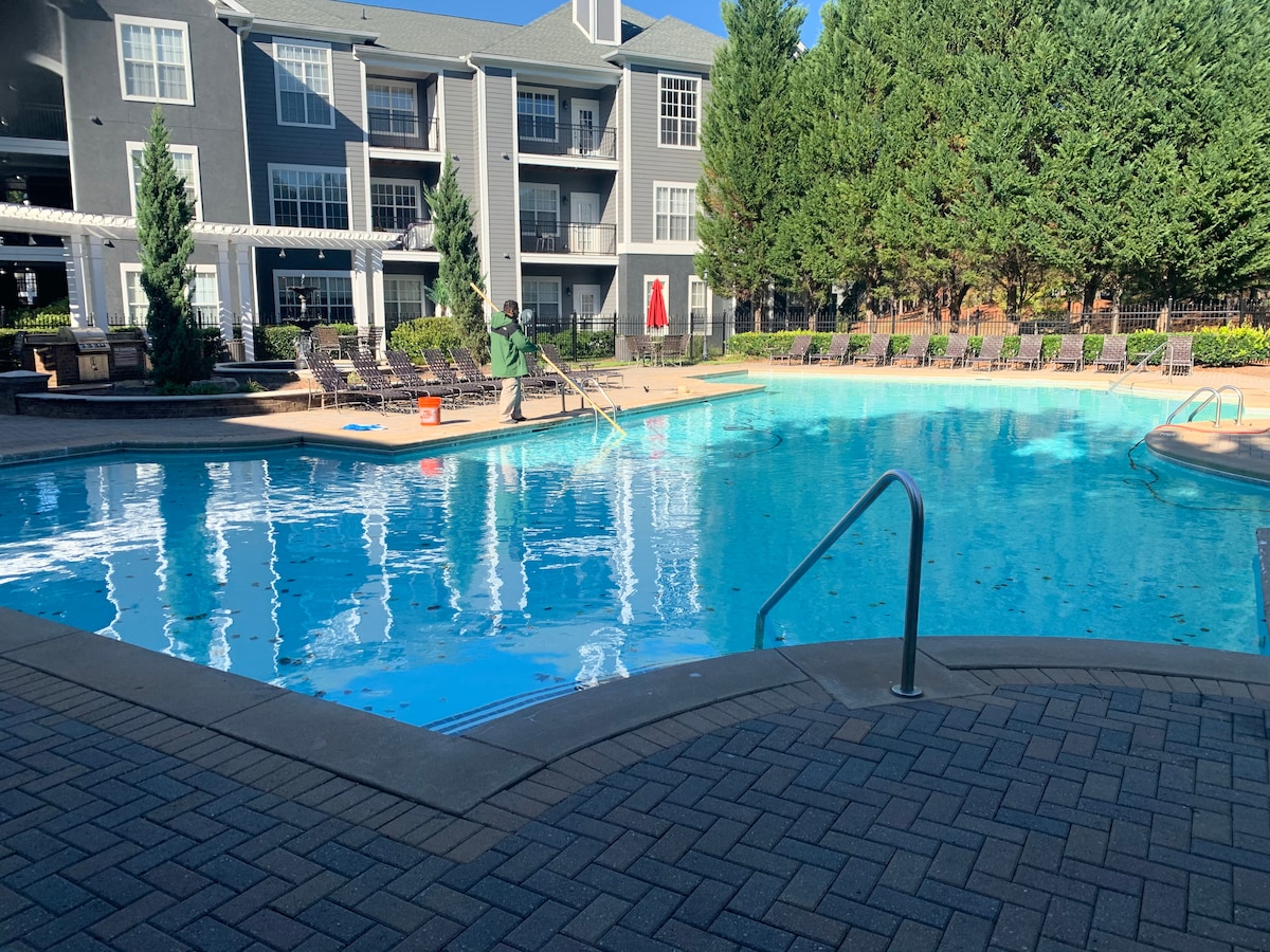 The outdoor swimming pool is framed by a stone patio and surrounded by well-maintained landscaping, featuring tall greenery and lounge chairs. One end of the pool is equipped with a pool ladder, and maintenance is being conducted nearby.