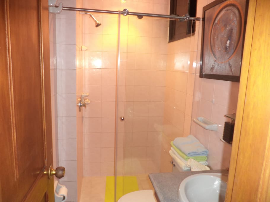 WC.Con ducha, recien remodelado.
Todo nuevo. Toallas y demas elementos se ofrecen al husped