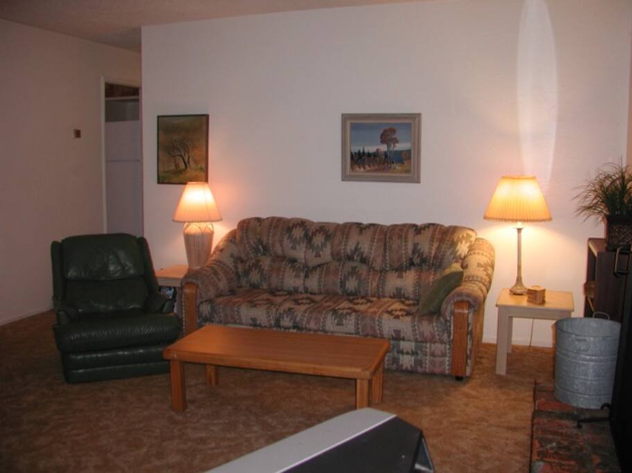 Open living room looks onto patio.