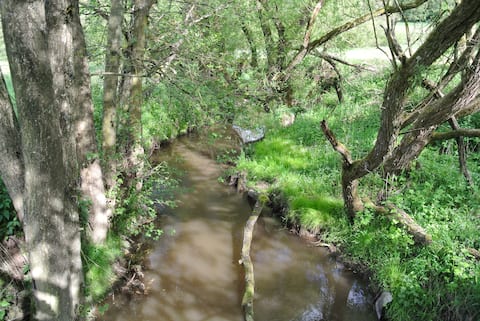 Vacation home at the mill