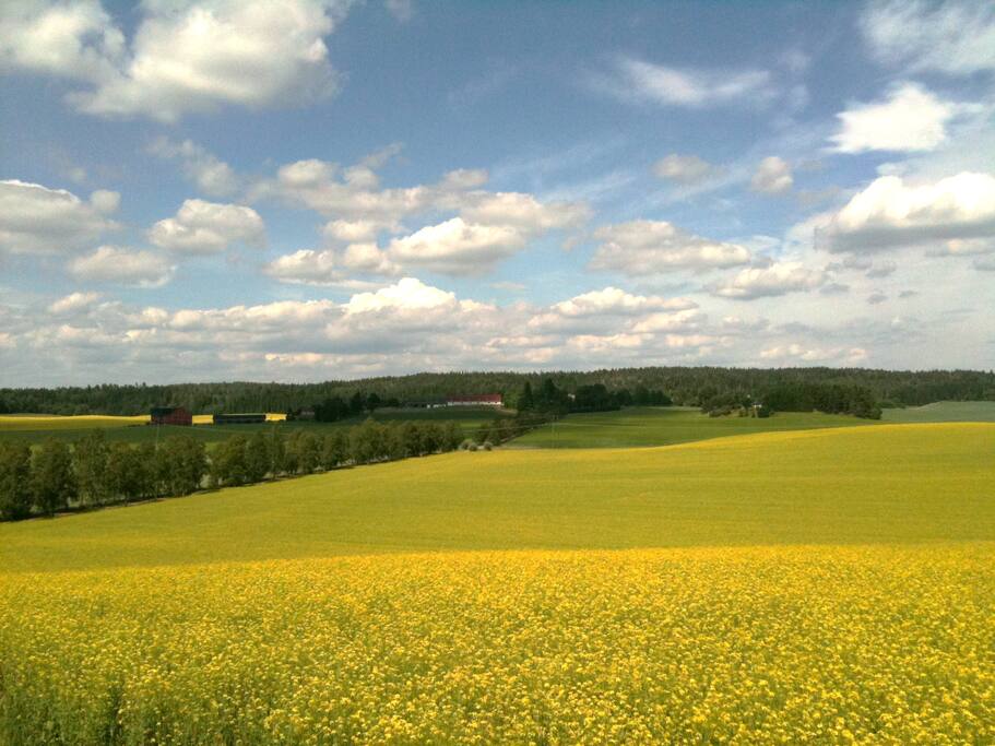 Gårdskulla farm