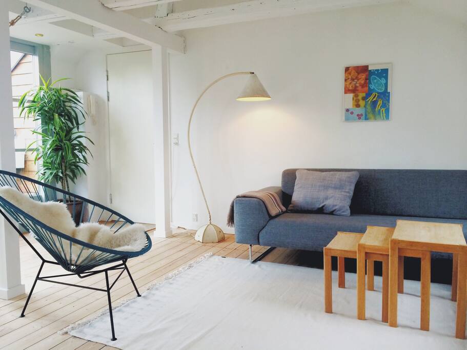 City penthouse with roof terrace Flats for Rent in Copenhagen