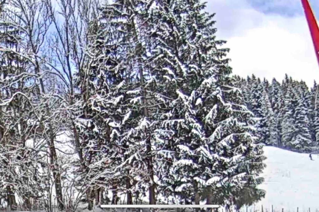 Le chalet La Puce se trouve sur le bas de la piste de ski