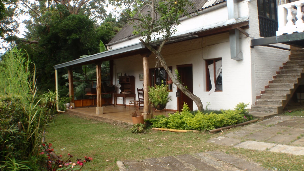 An inviting exterior showcases a rustic chalet with a spacious porch, surrounded by lush greenery. Potted plants line the entrance, and comfortable seating is provided. A staircase leads to the upper level, complemented by a shaded area beneath a shady tree.